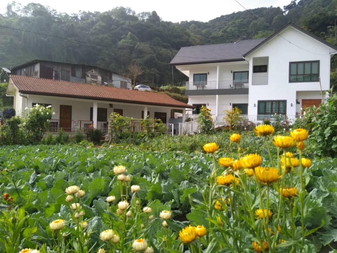 Ng Family'S Farm Stay Cameron Highlands Exterior foto